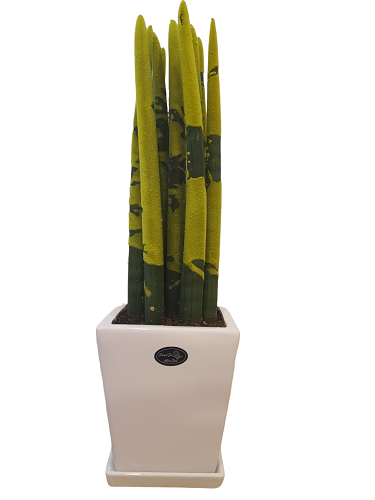 office-tool